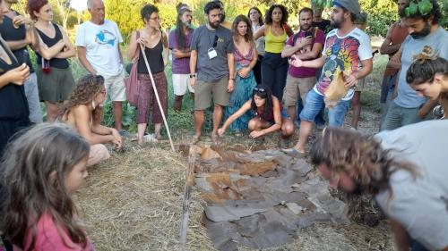 Festival Intanto...Riforestival 2023 - La coltivazione dei funghi nell'orto naturale 