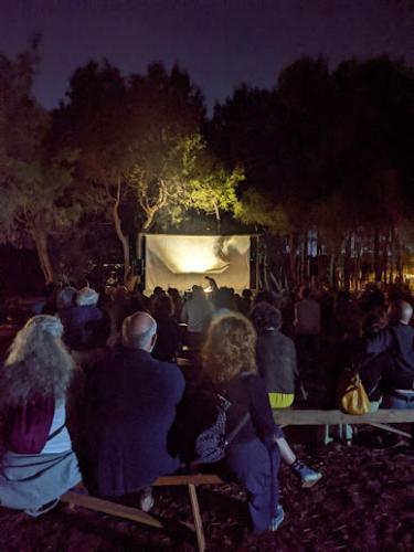 Festival Intanto...Riforestival 2022 - Teatro d'ombre nel bosco